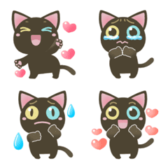 cute odd-eyed black cat