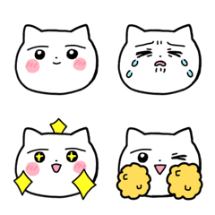 リアクションする白ねこ
