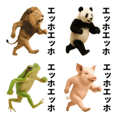 Small animals icons!