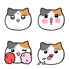 リアクションする三毛猫