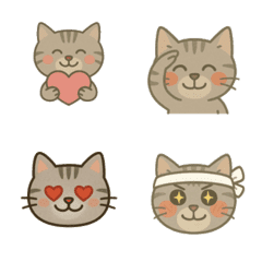 Gray Cat Life