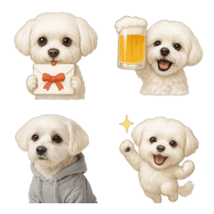 マルチーズの日常リアクション絵文字