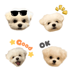 kotaro's Emoji