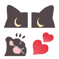 AYS黑貓看你