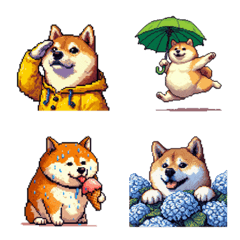 太っちょ柴犬の梅雨と初夏 絵文字
