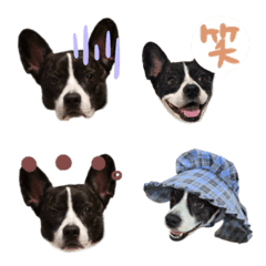 べべ絵文字