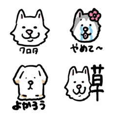 Samo, GP, Husky Emoji