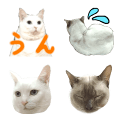 Yuki-chan & Leon-kun Emoji