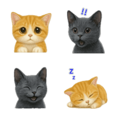 Kitten reaction emoji