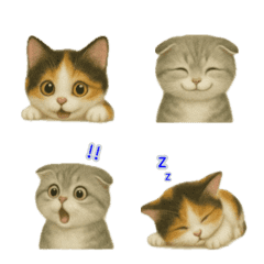 Scottish field Kitten's reaction emoji