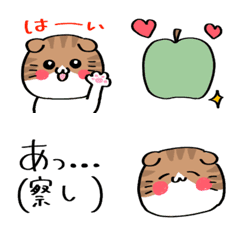 ◉スコティッシュフォールド♡リアクション◉