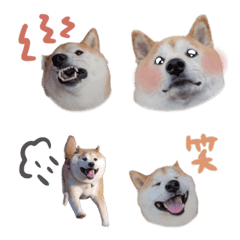 みん文字