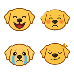 Smail Golden Retriever