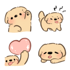 [MVy] โกลเด้นเด็กจิ๋ว