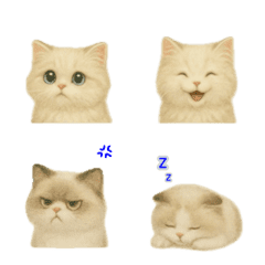 Minuet kitten reaction emoji