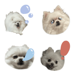 もこちゃん.