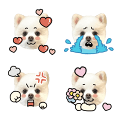白ポメこまるくんの絵文字