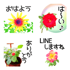 Real Flower Polite Conversation Emojis