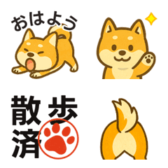 うちのこ柴犬❤️動く愛犬リアクション