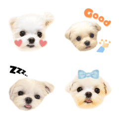 Maru's Emoji 1