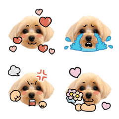 マルプーこはだの絵文字3