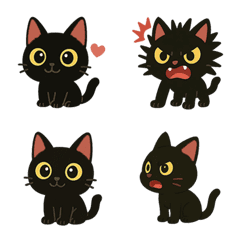 Cute Little Black Bean the Cat