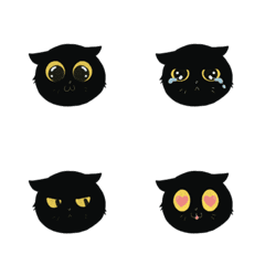 Black bad cat