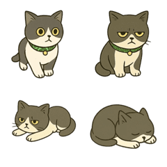 FURISIKI