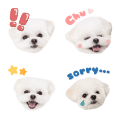 kotaro's Emoji 2