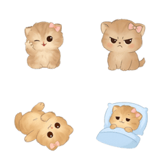 大きな目の子猫の絵文字