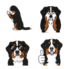 バーニーズマウンテンドッグの絵文字(犬)
