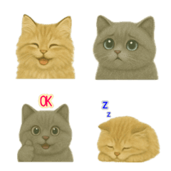 Siberian and British shorthair emoji.