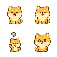柴犬日常心情