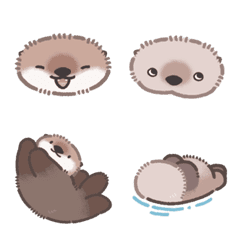 ふわふわ毛玉のベビラッコ