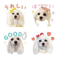 マルプーモナの絵文字