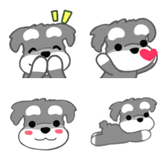 かわいいシュナ犬リアクション動く