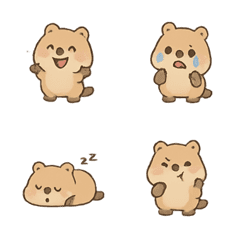 Quokki 小貓鼬的可愛日常