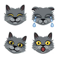 長毛猫　グレイ