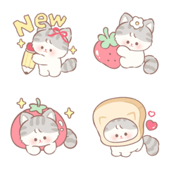 Cherry Cat Diary