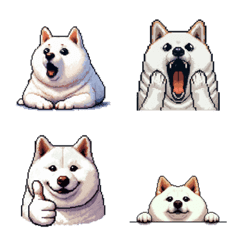無言で伝える太っちょ白柴犬 絵文字