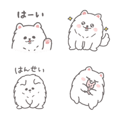 ◯もふもふ◯ゆるかわいい白いポメラニアン