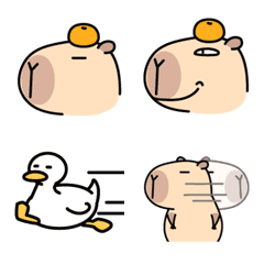 Pipi Capybara emoji
