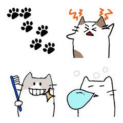 Moving cat friend