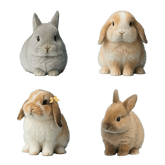 ウサギのえもじ 2