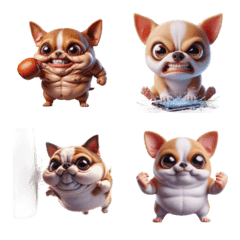 Dazed Chihuahua