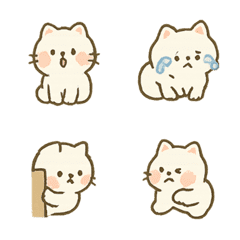 喵喵小白日常鬧