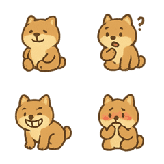 Grumpy Shiba Explodes Again