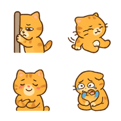 Anxious Orange Cat Moments