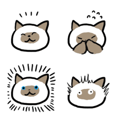 シャム猫の日常　-Bitte Mitte-