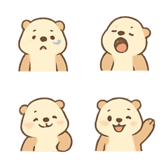 Playful Sea Otter Expressions